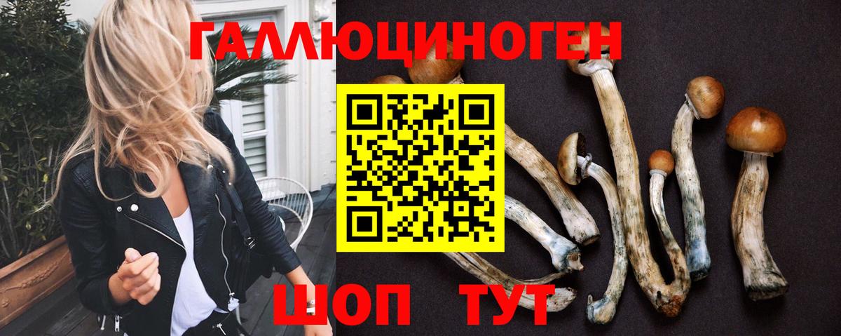 Торжок  Псилоцибиновые грибы прущие грибы  Вход с VPN 