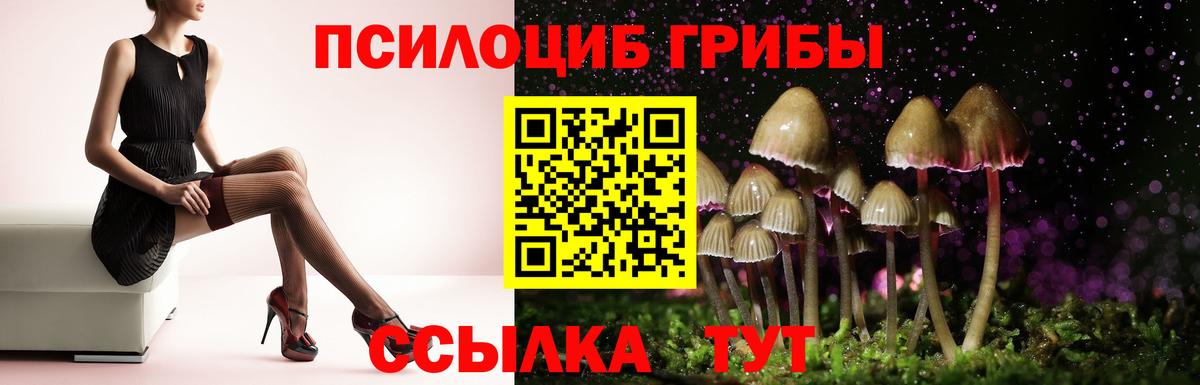 Псилоцибиновые грибы Cubensis Торжок